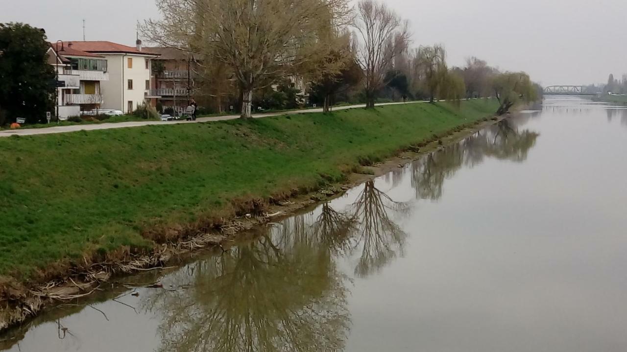 Vicino Al Prato Della Valle Intero Appartamento Parcheggio Facile Di Fronte Padova Eksteriør billede