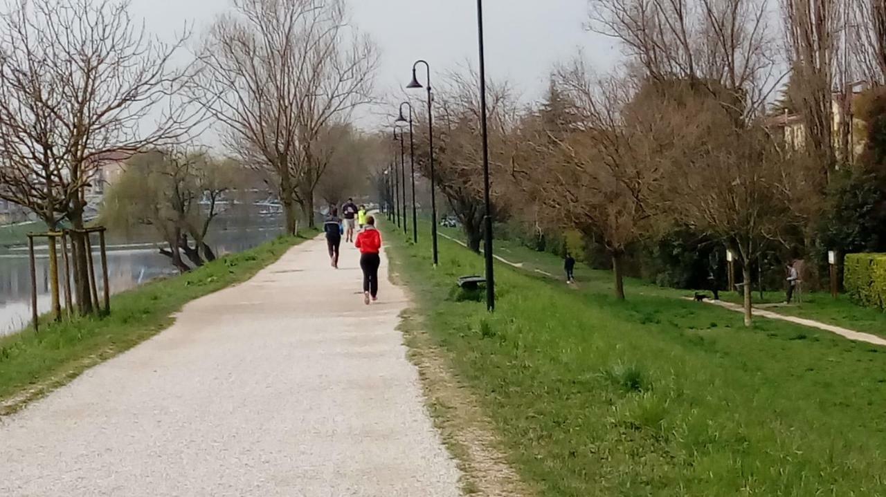 Vicino Al Prato Della Valle Intero Appartamento Parcheggio Facile Di Fronte Padova Eksteriør billede